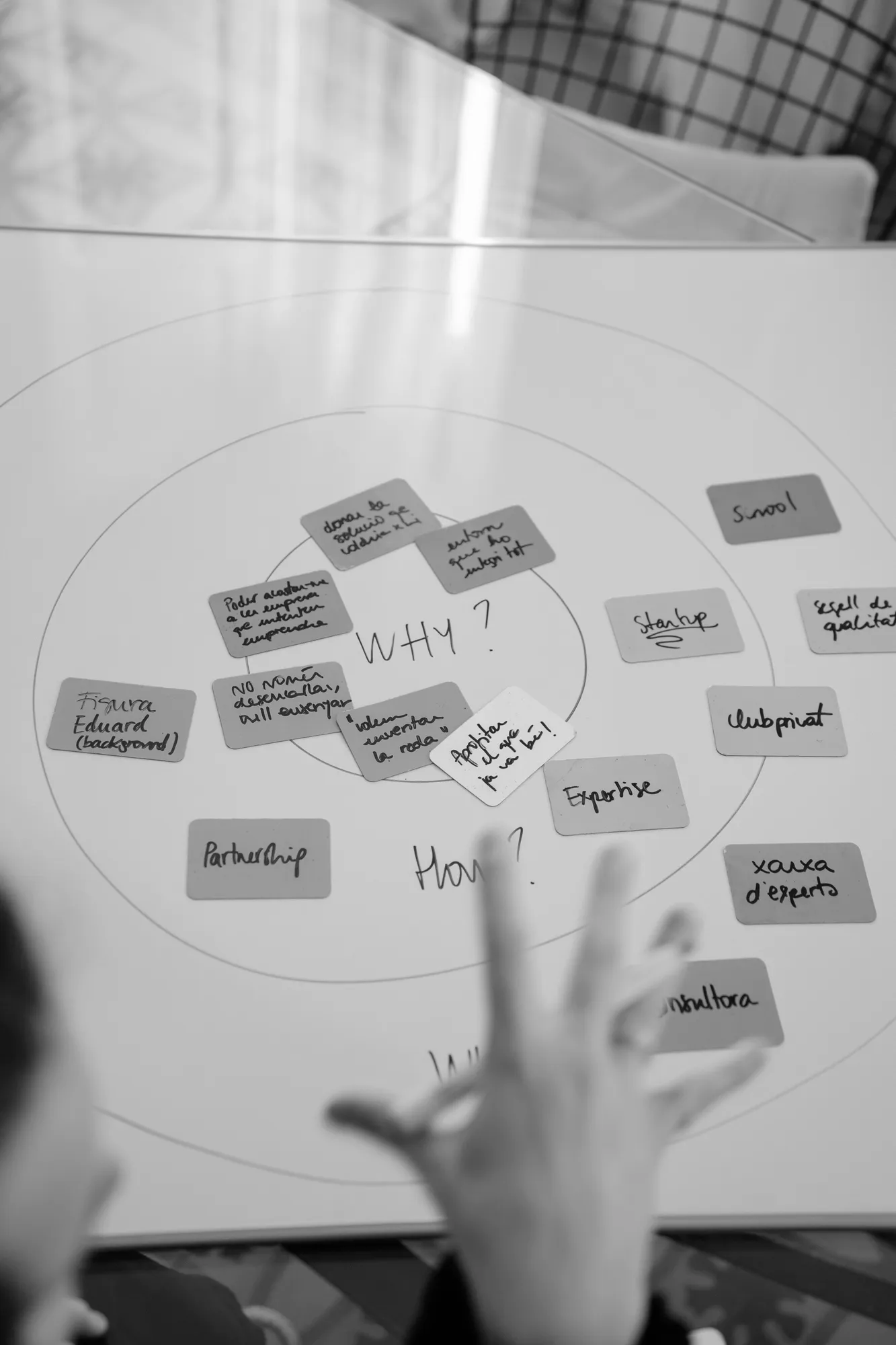 Targetes amb idees repartides al voltant de les preguntes «why?» i «how?» en una pissarra de l'estudi.